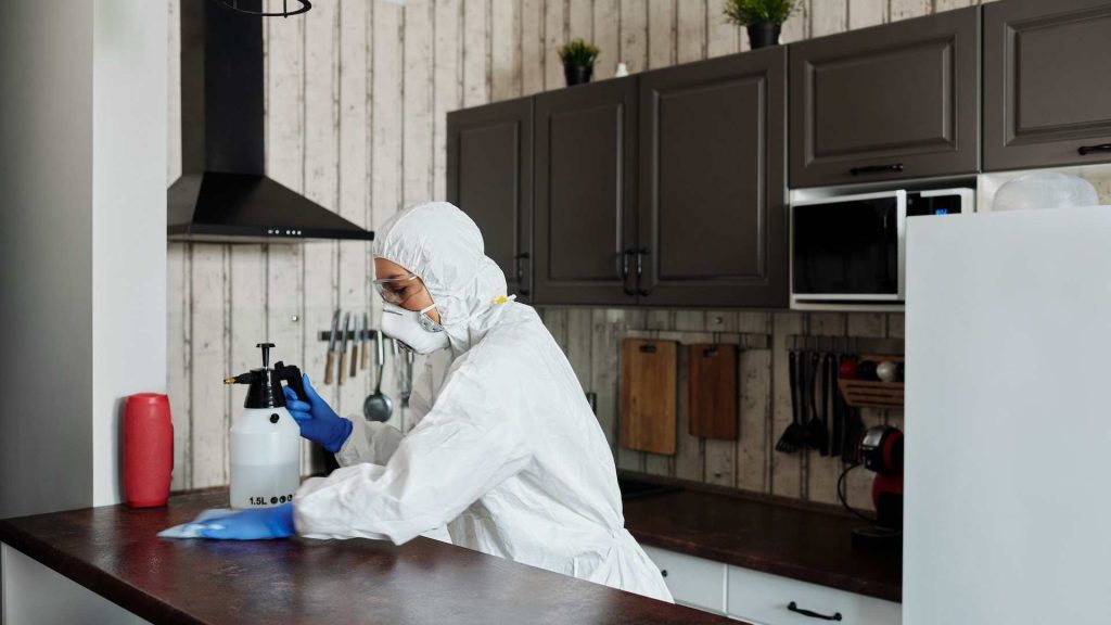 The Secret of Cleaning Your Kitchen Home3 1024x576